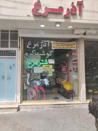 آذر مرغ سیامک