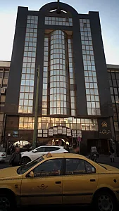 دکتر مینا حامیان