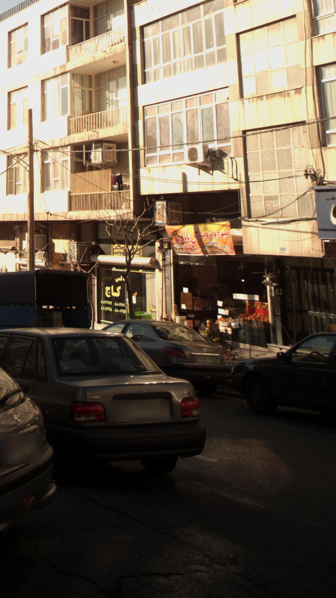 میوه و تره بار علی بابا