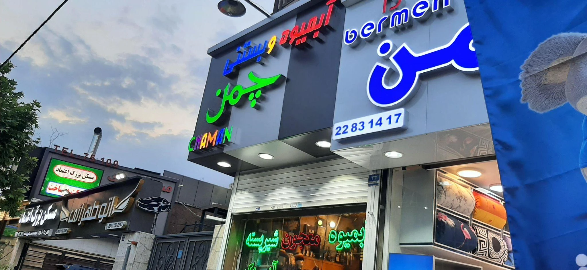 آبمیوه و بستنی چمن - تصویر 4