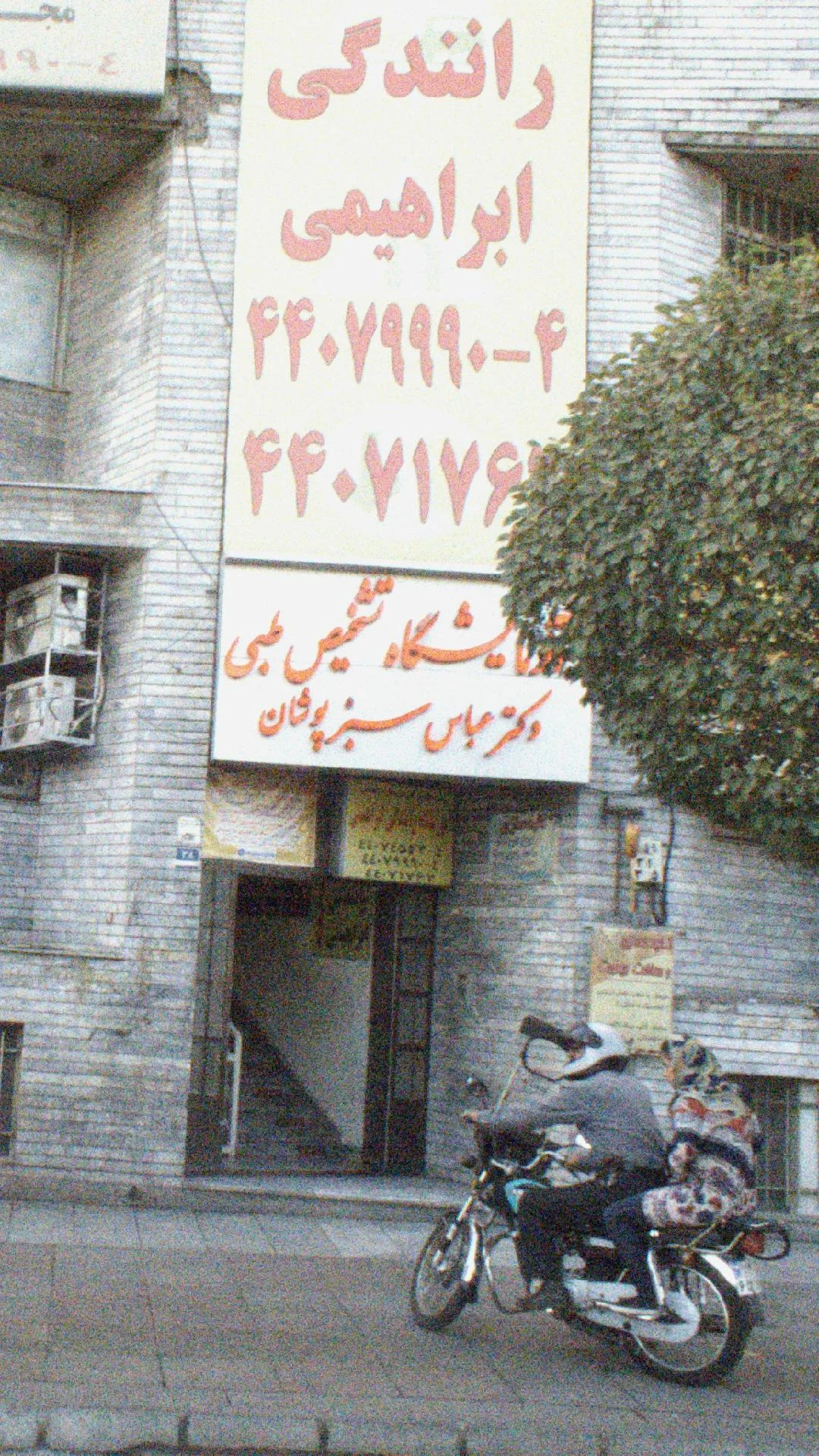 قارچ شناسی دکتر هاشمی