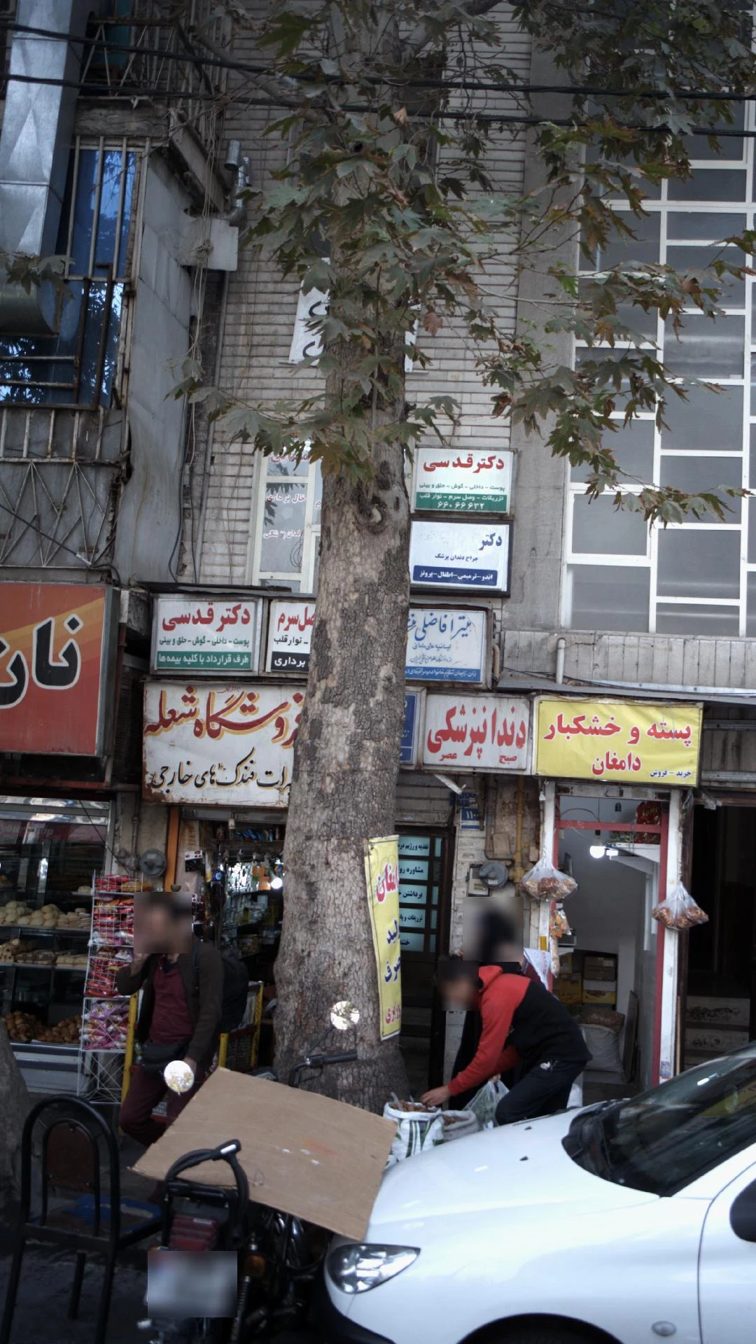 دکتر طرلان حمیده خو - تصویر 2