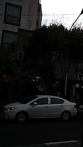 دوزندگی نادر