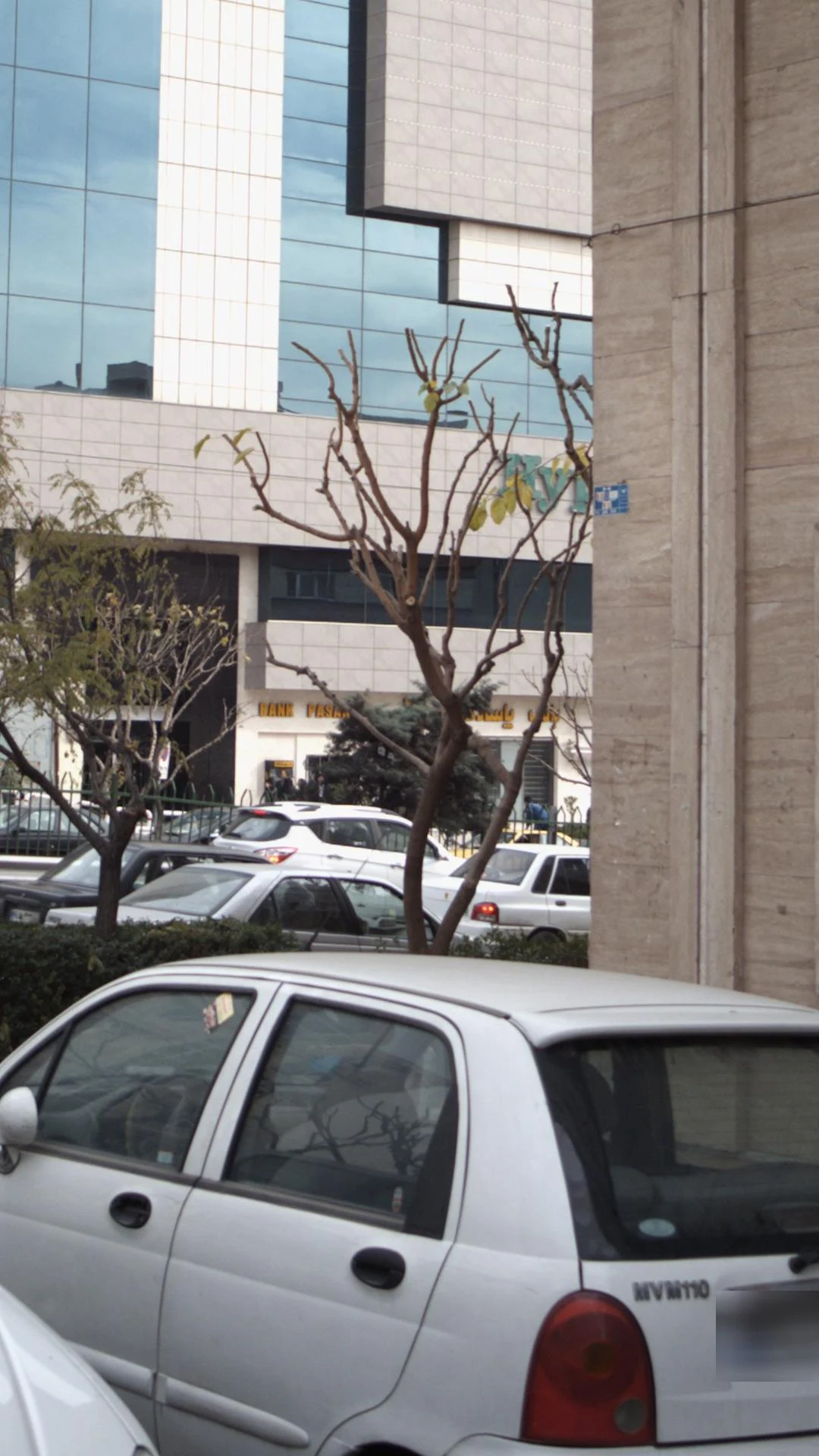 بانک صادرات شعبه باغ فیض - تصویر 2