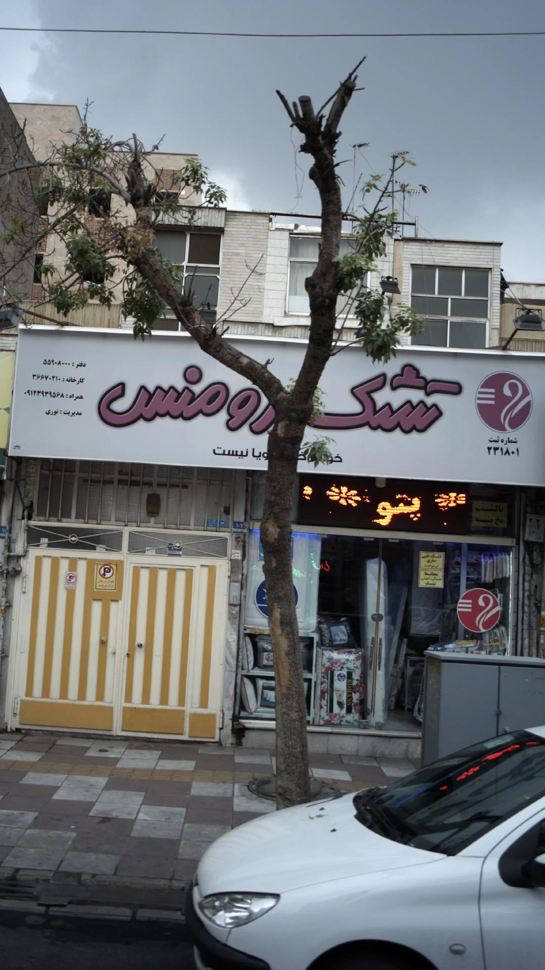 تشک رویال و رویا - تصویر 2