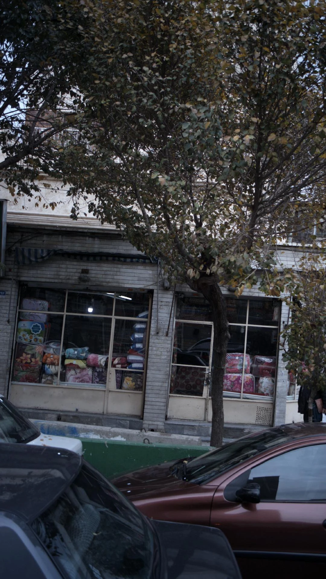 تشک رویال و رویا - تصویر 3