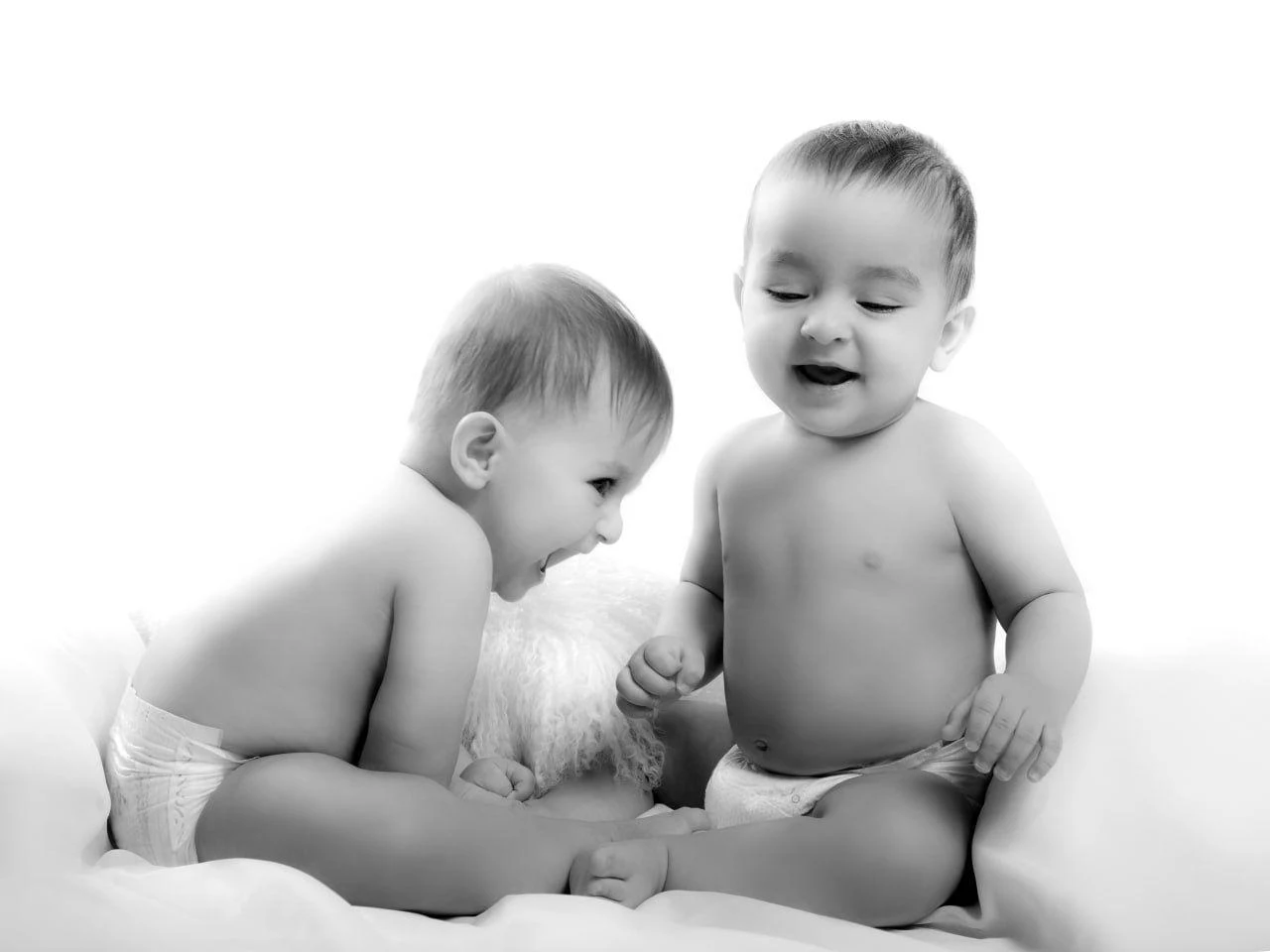 آتلیه عکاسی و فیلم اریکه - آتلیه عکاسی در تهران - تصویر 3
