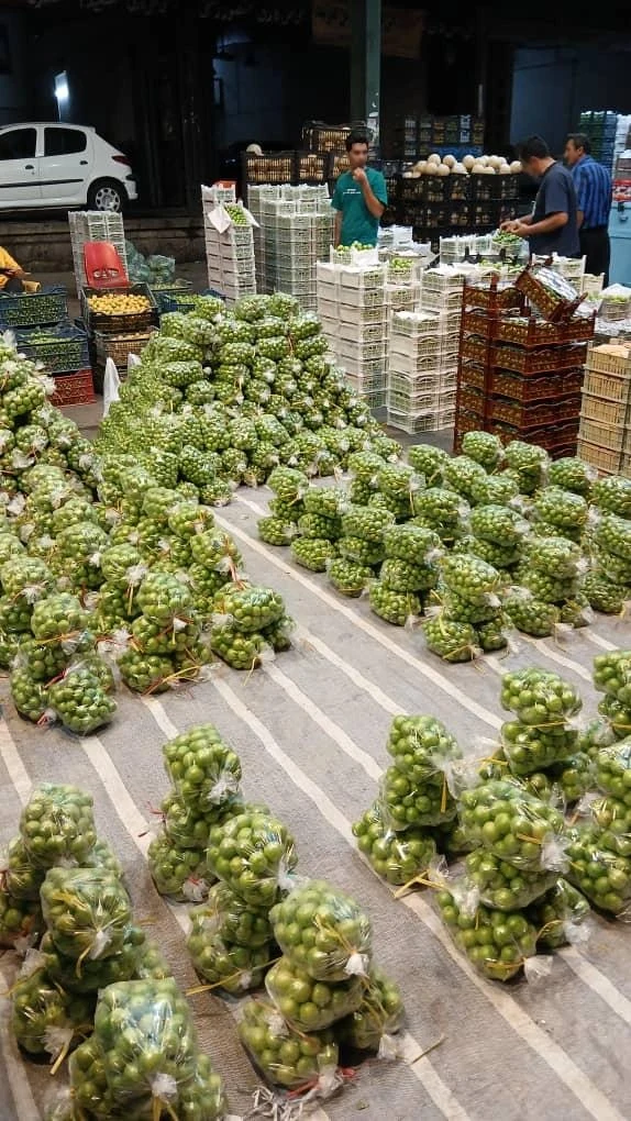 لوازم خیاطی شیر محمدی  - خرازی در تهران - تصویر 4