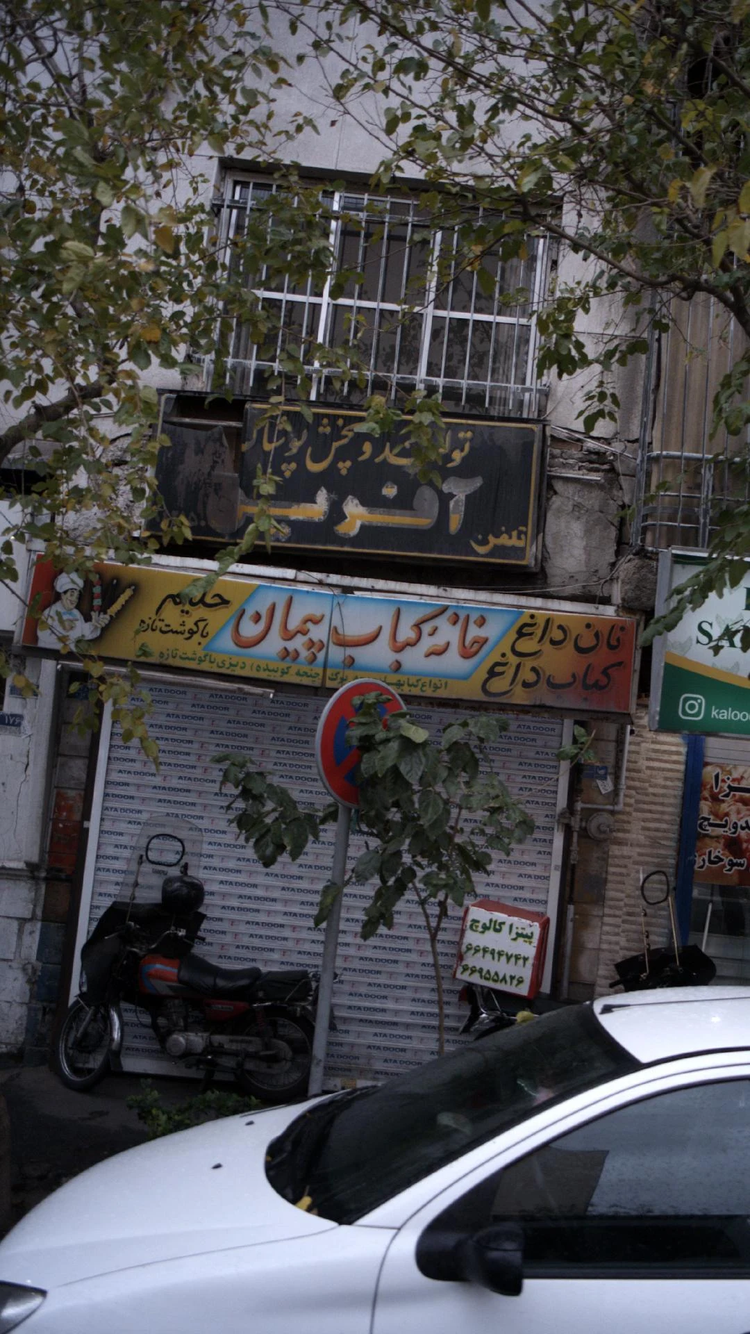 چلوکبابی طلایی - کبابی و چلوکبابی در تهران - تصویر 2