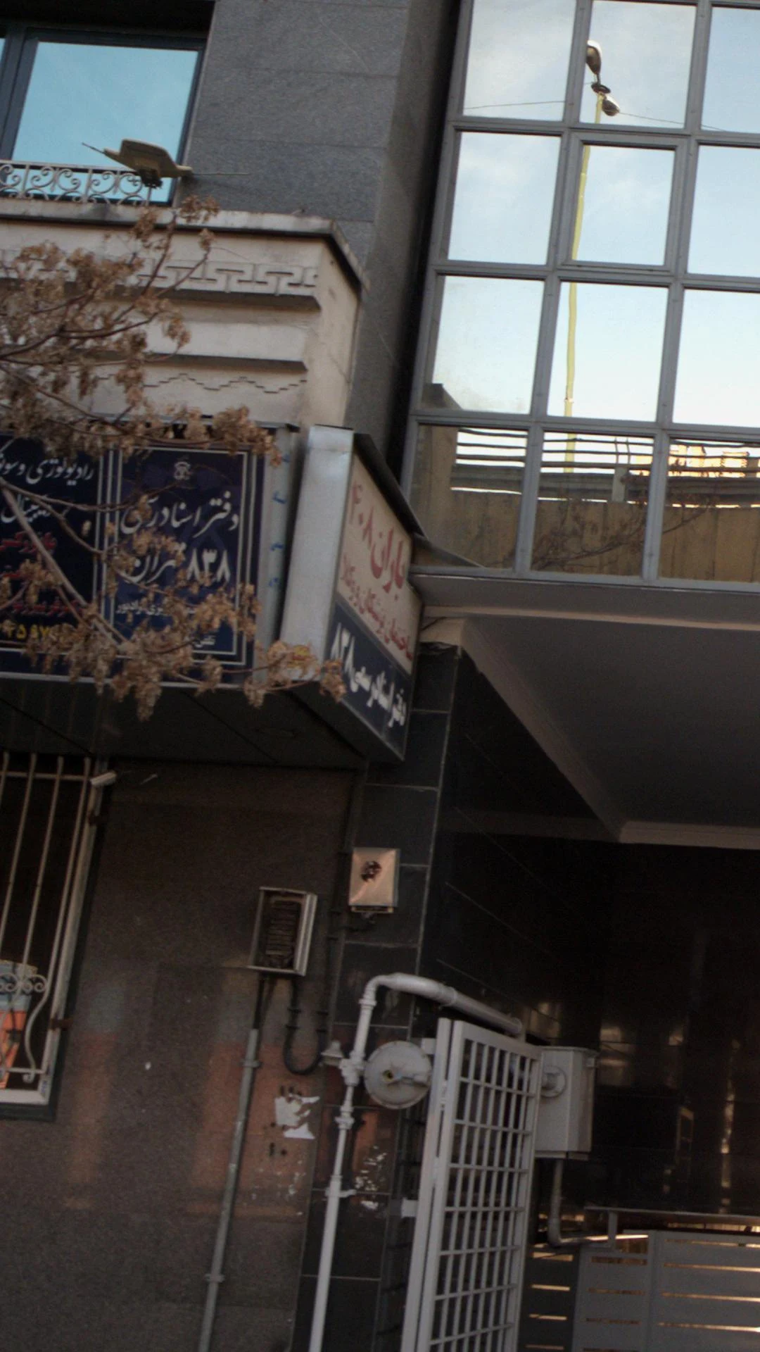 دکتر ناصر جوادی پروانه - تصویر 5
