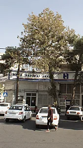بانک ایران زمین شعبه تهرانپارس