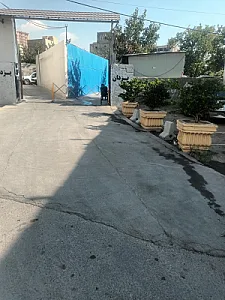 اتو سرویس درختی