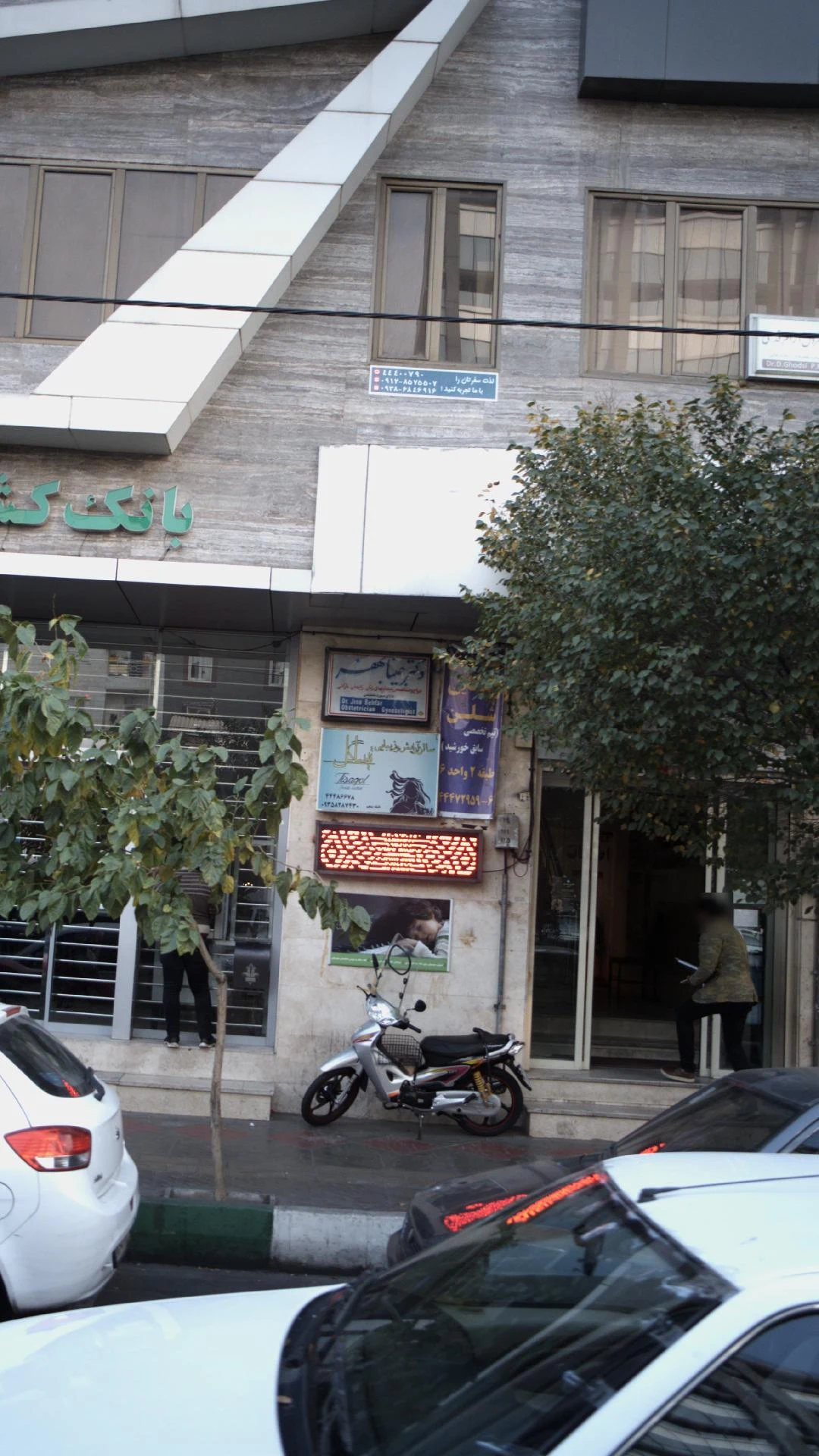 دکتر جینا بهفر - تصویر 2