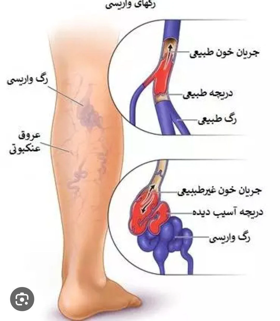 کارآفرین مشاور سبک زندگی سالم - تصویر 4