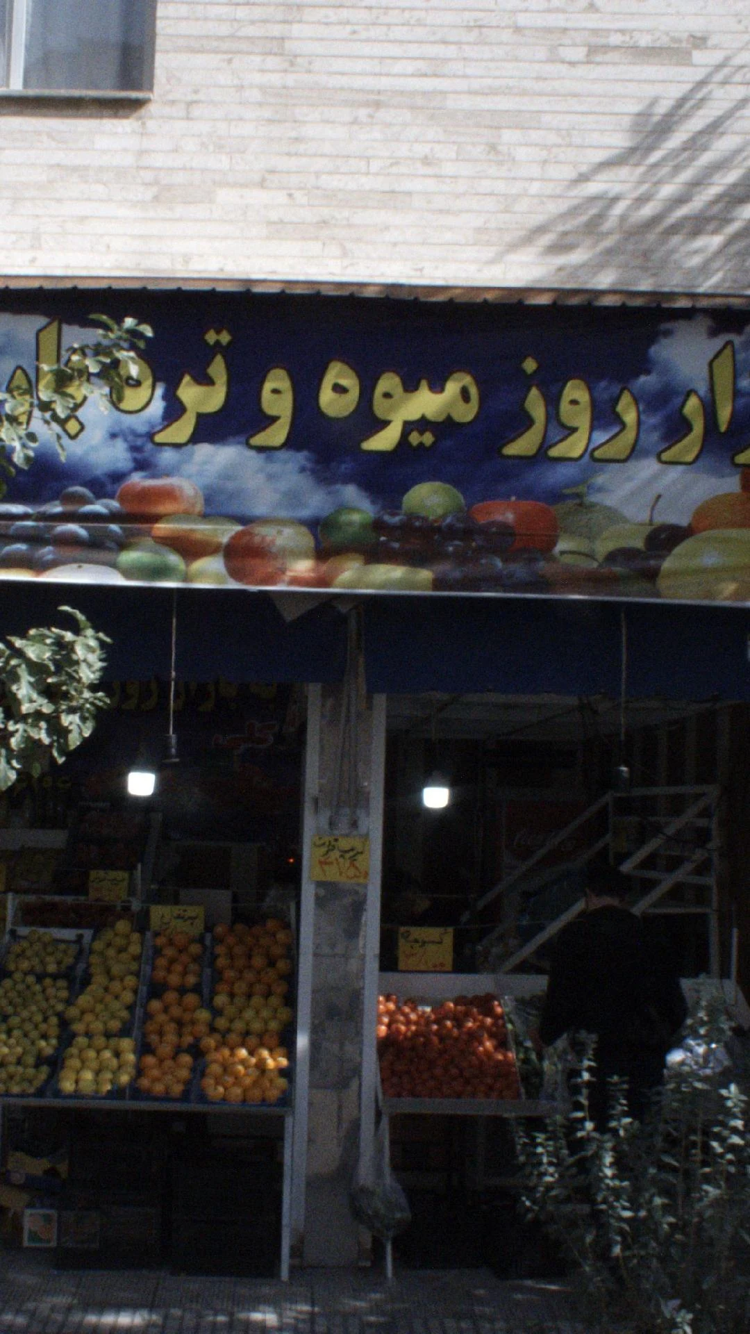 شادمان پلاسکو - تصویر 2