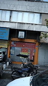 الکتریکی علی نژاد