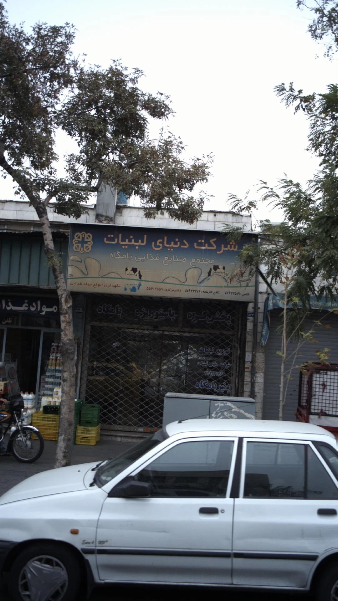 شرکت دنیای لبنیات