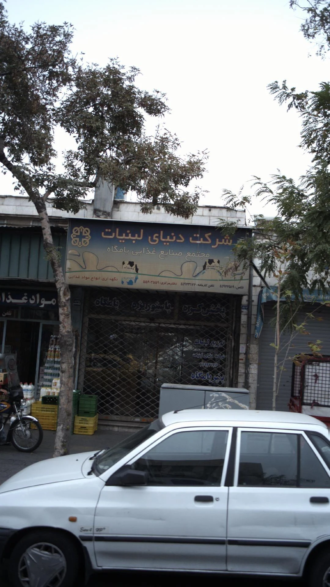 شرکت دنیای لبنیات - تصویر 2