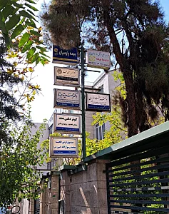 دکتر نیلوفر صفاریان