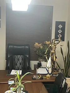 نگار صانعی وکیل پایه یک دادگستری