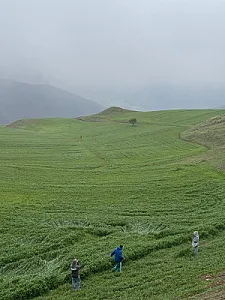 استودیوی عکاسی