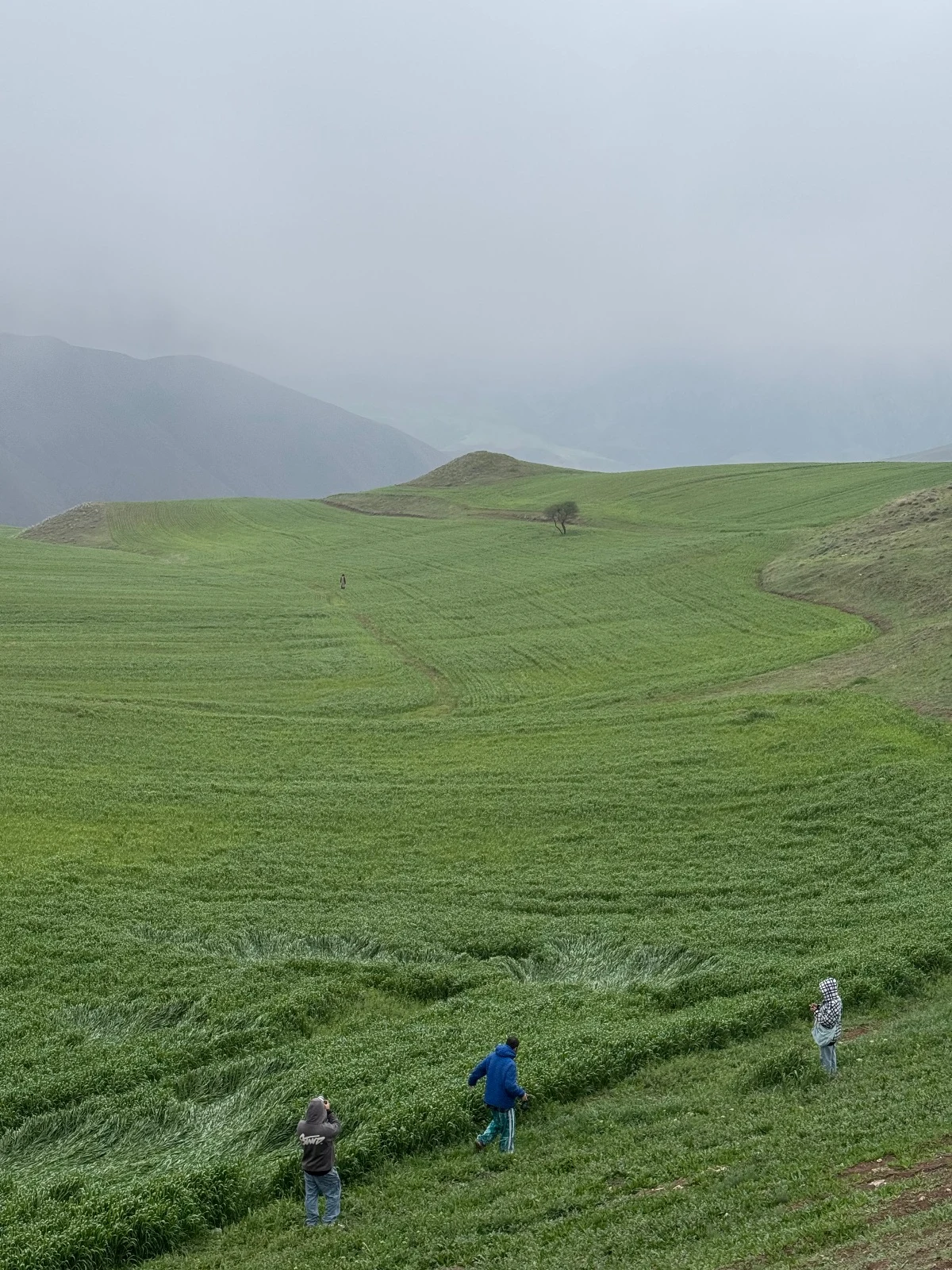 استودیوی عکاسی