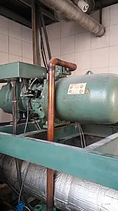 سجاد فروزش گوراب پسی