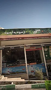 ویولنتا