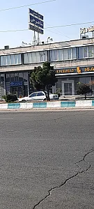 گروه صنعتی شاهرخی