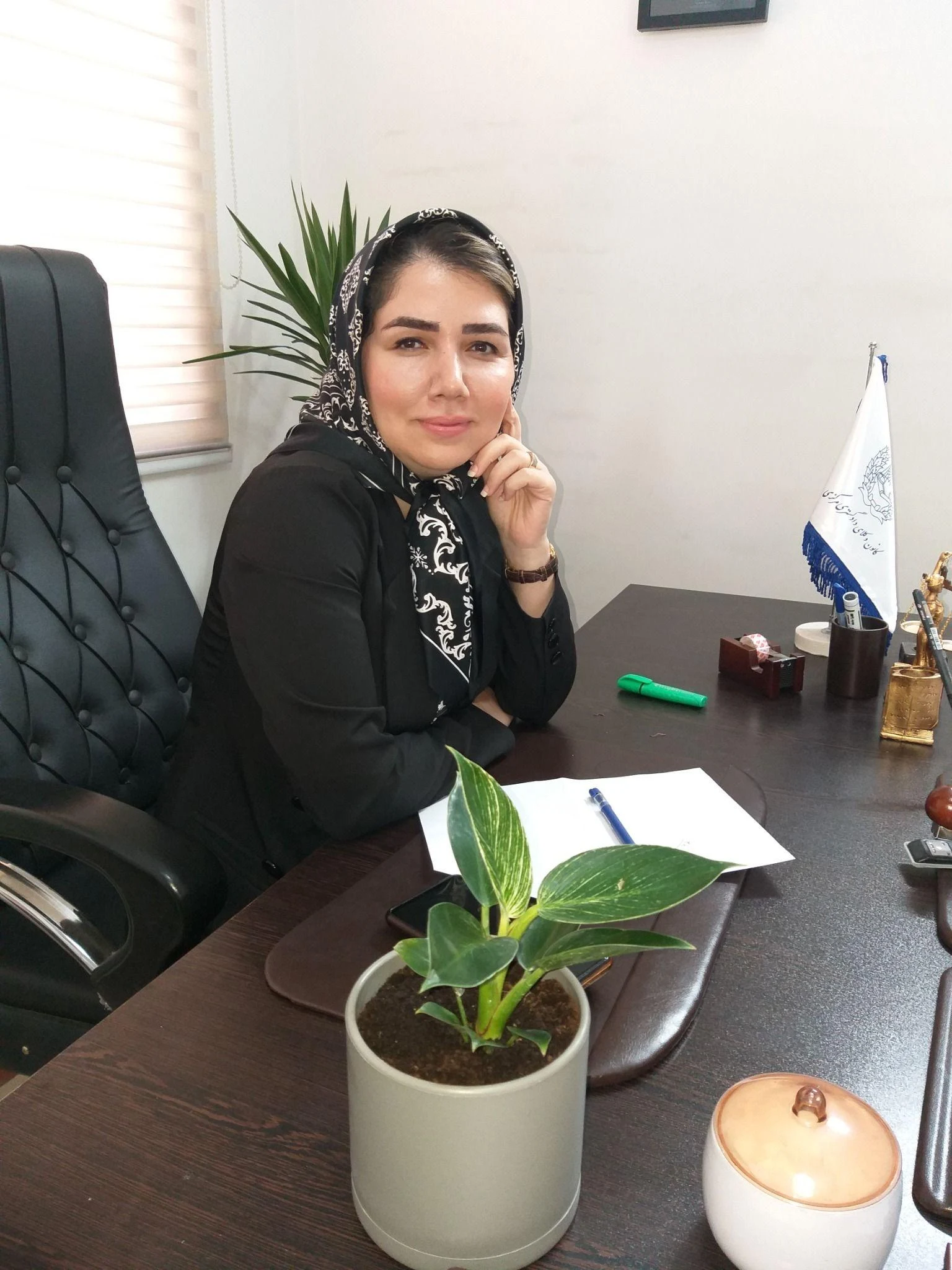 وکیل پایه یک دادگستری یلدا استرکی - تصویر 3