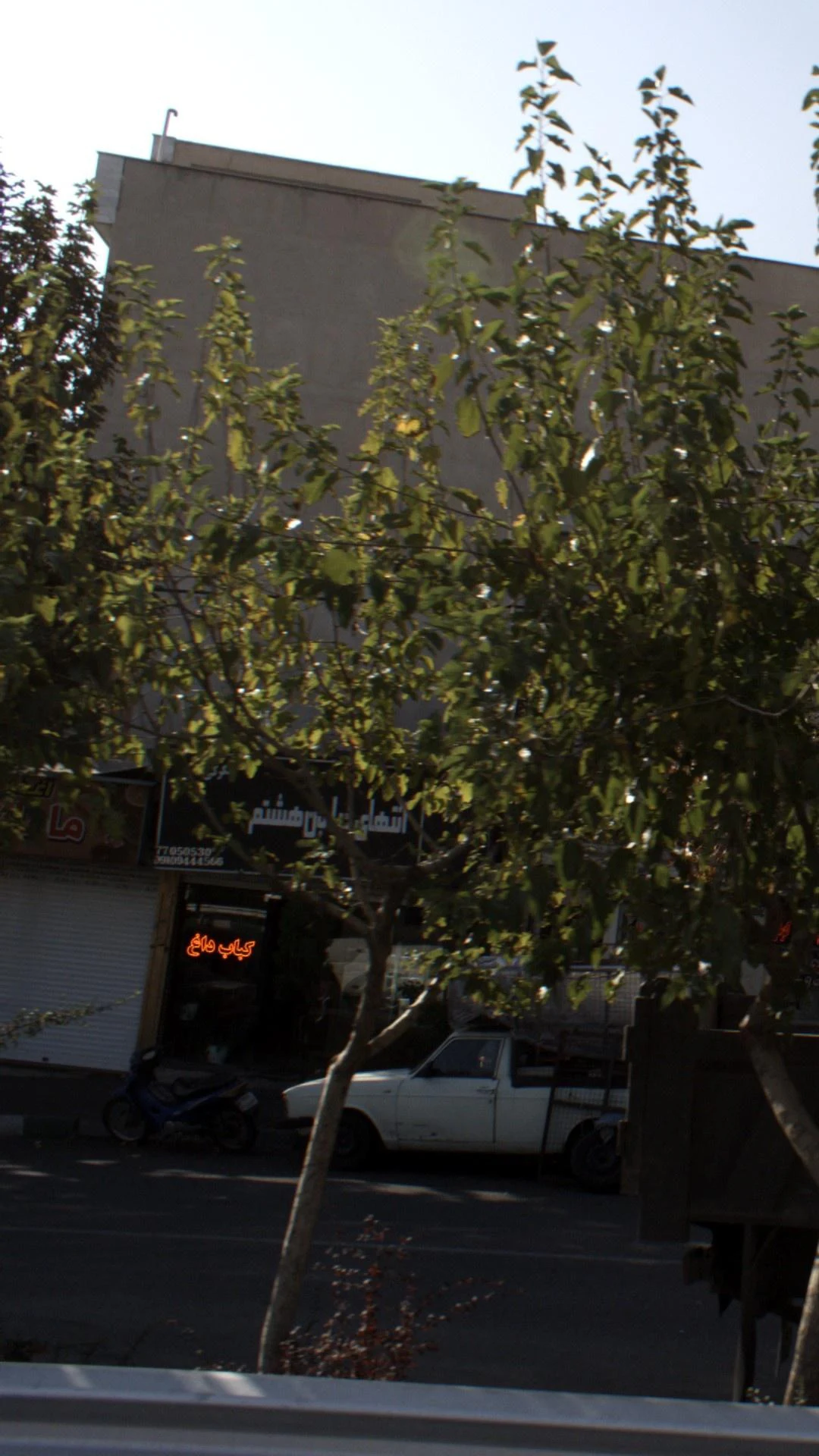 کبابسرا و جگرکی دایی