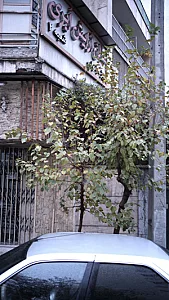 سالن ابری