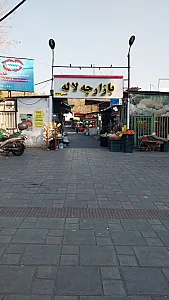 دانشگاه علوم پزشکی ارتش