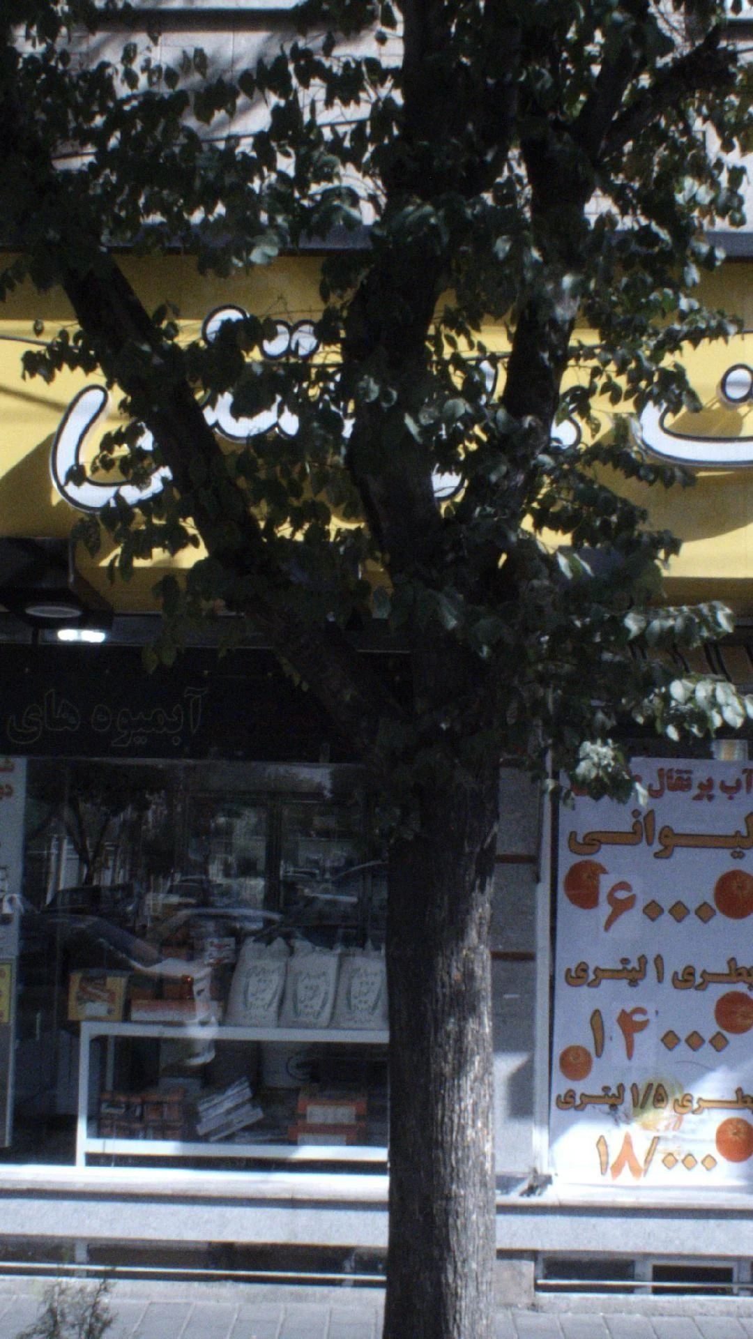 لبنیات,بستنی صبا - تصویر 2