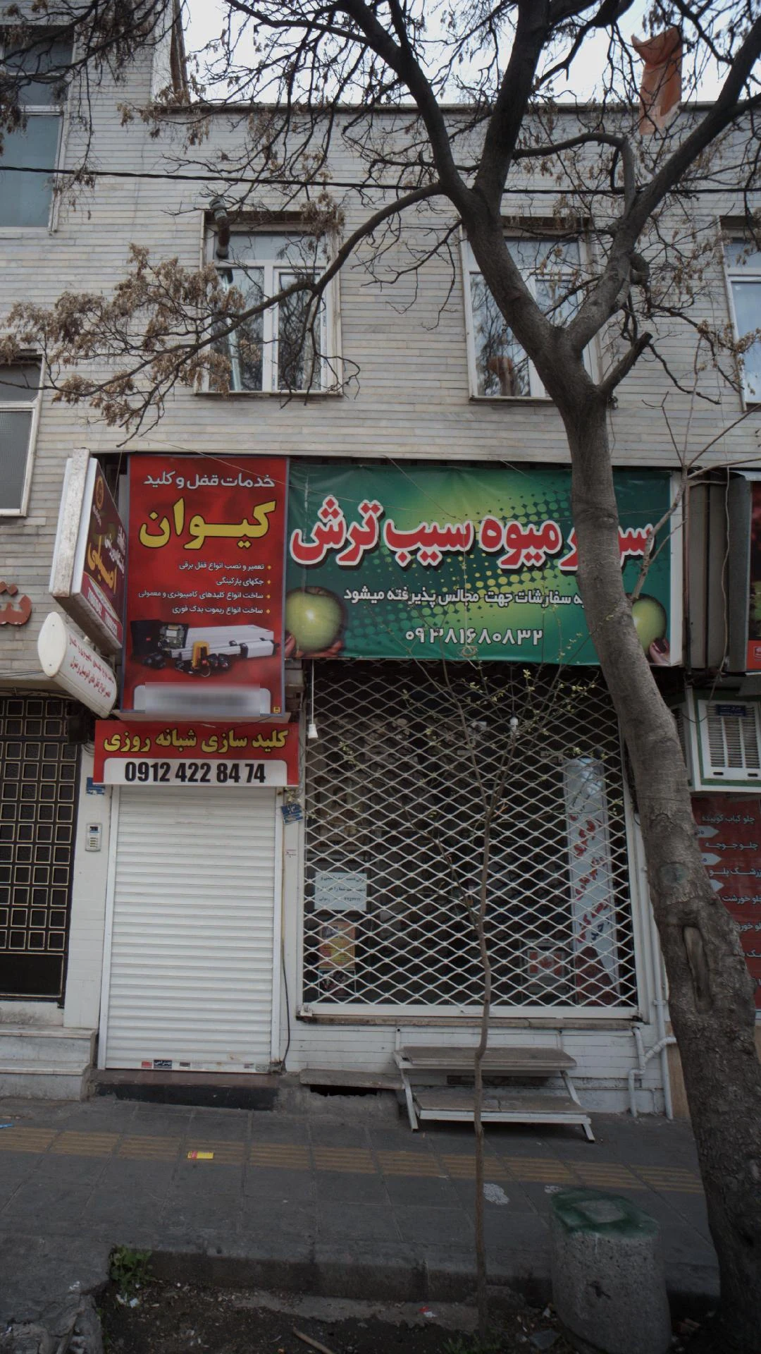 سوپرمیوه کیمیا - تصویر 2