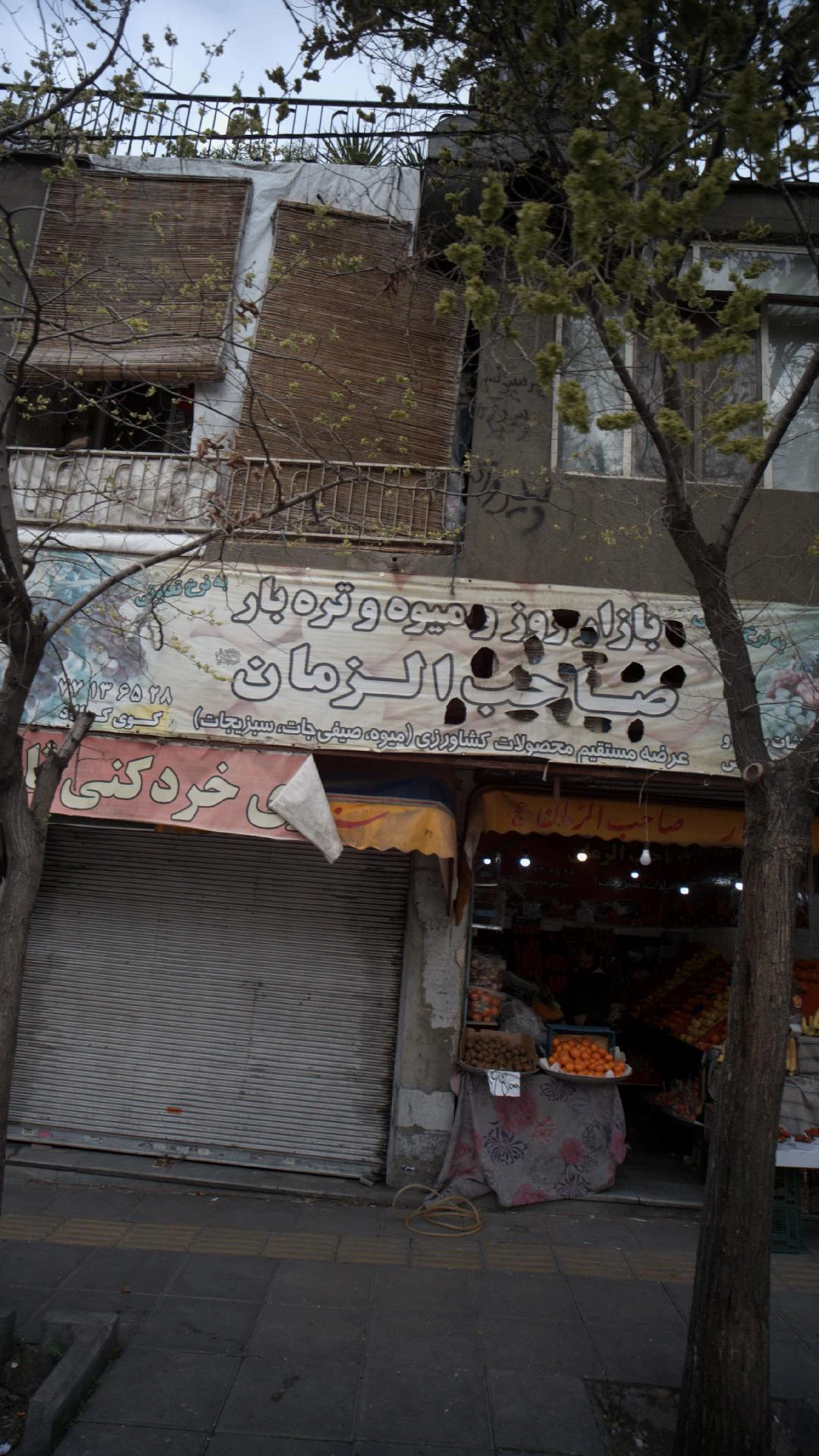 سوپرمیوه کیمیا - تصویر 3