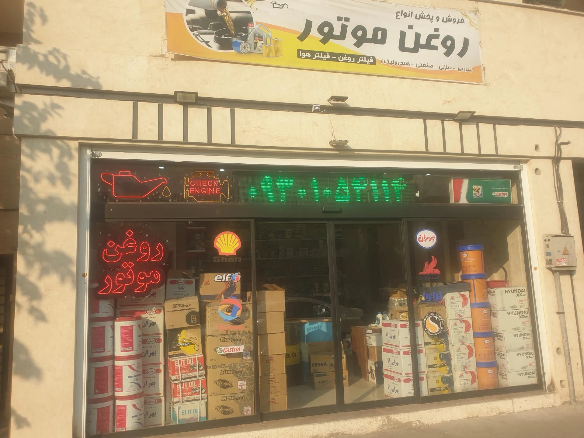 شاهین لنت - تصویر 2