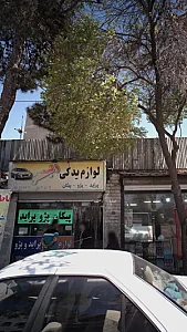 لوازم یدکی ولیعصر