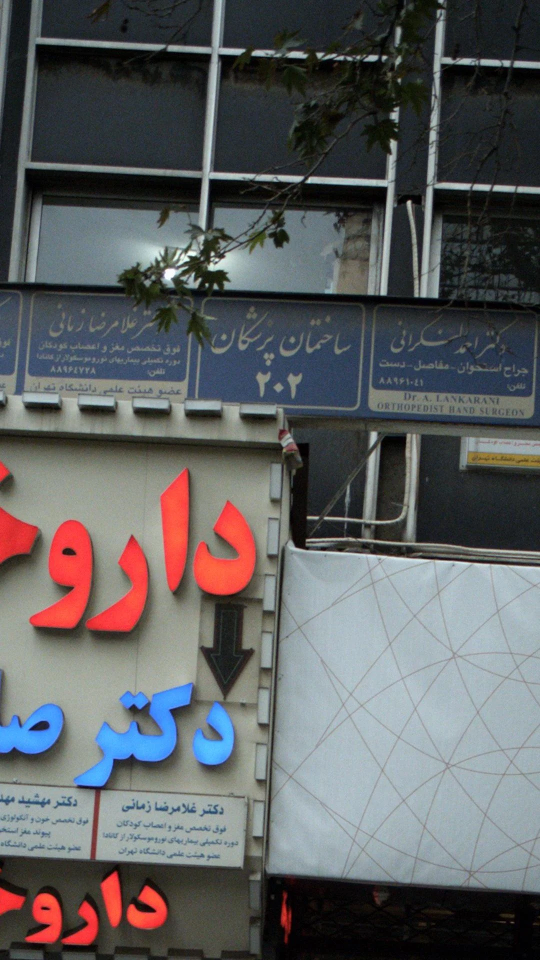 دکتر سرورالسادات میرعلی اکبری - تصویر 3