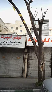 لوکس اسپرت وحید