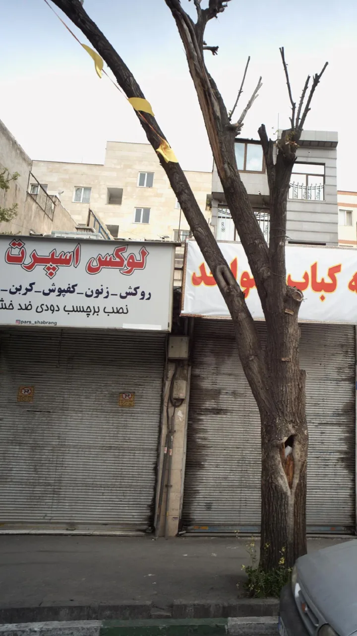 لوکس اسپرت وحید