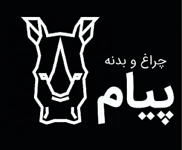 چراغ و بدنه پیام ( پیام پارت )