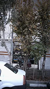 ساداتی