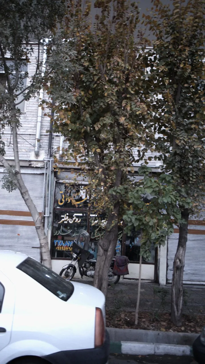 ساداتی