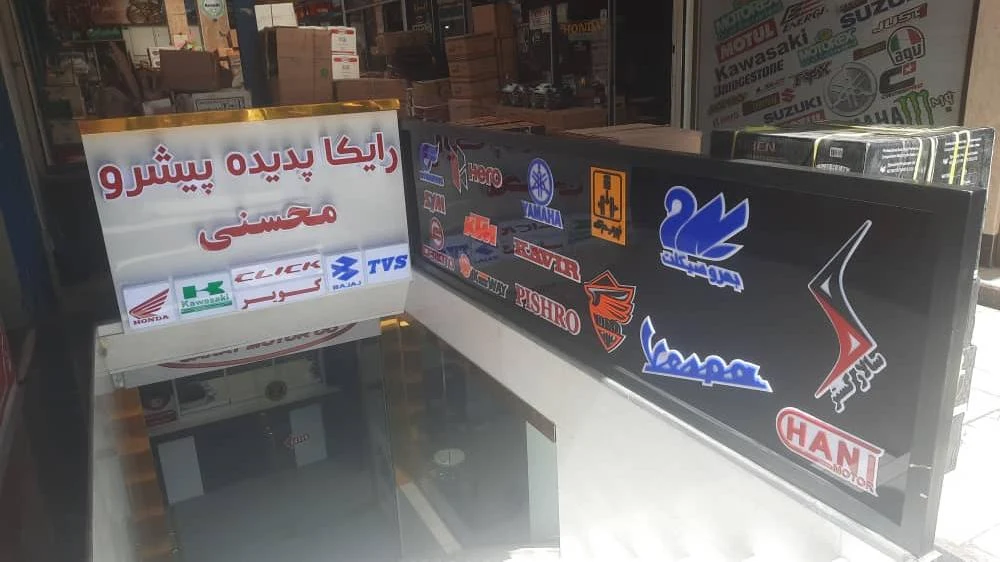 رایکا پدیده پیشرومحسنی - تصویر 2