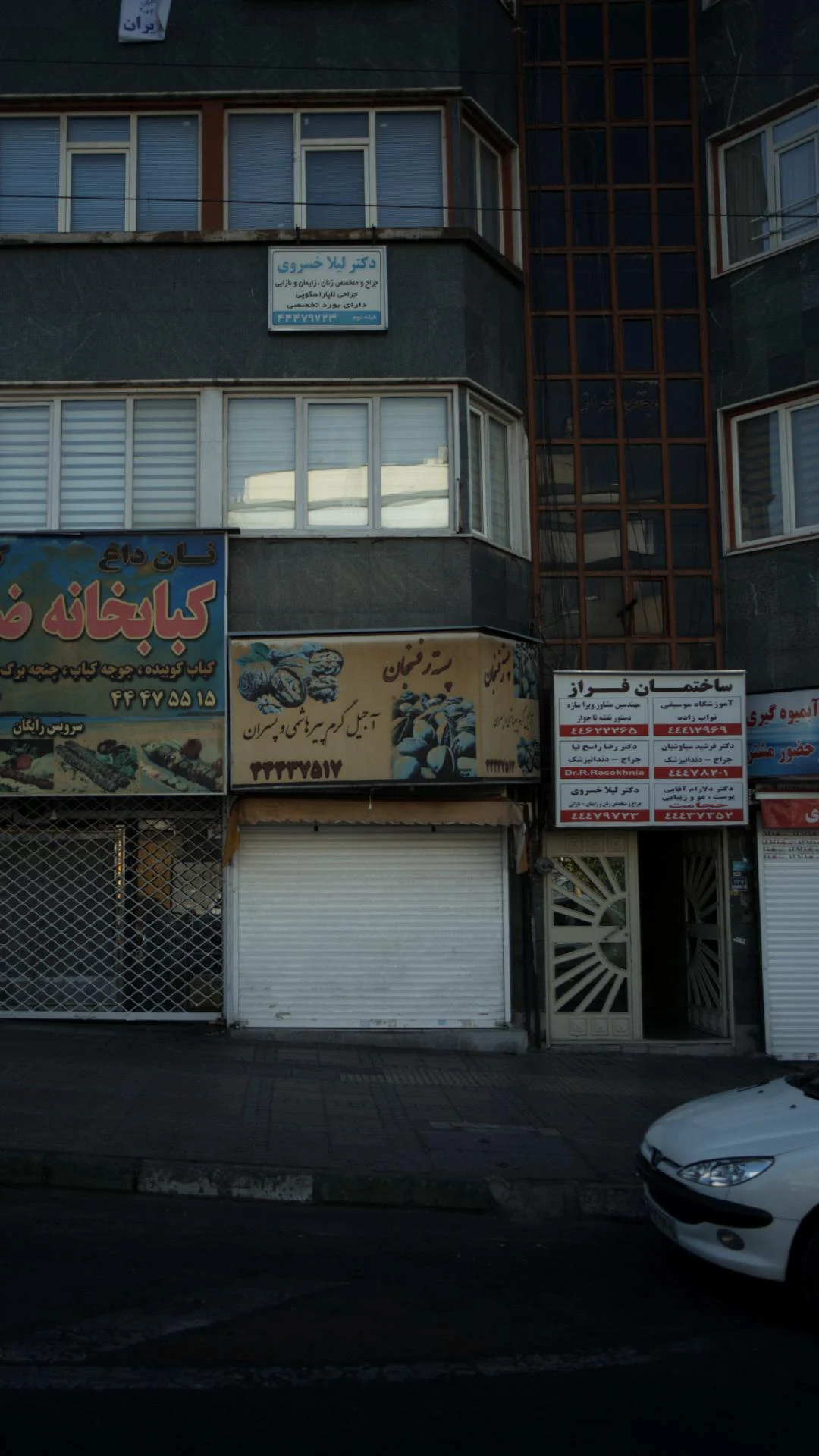 دکتر لیلا خسروی - تصویر 3