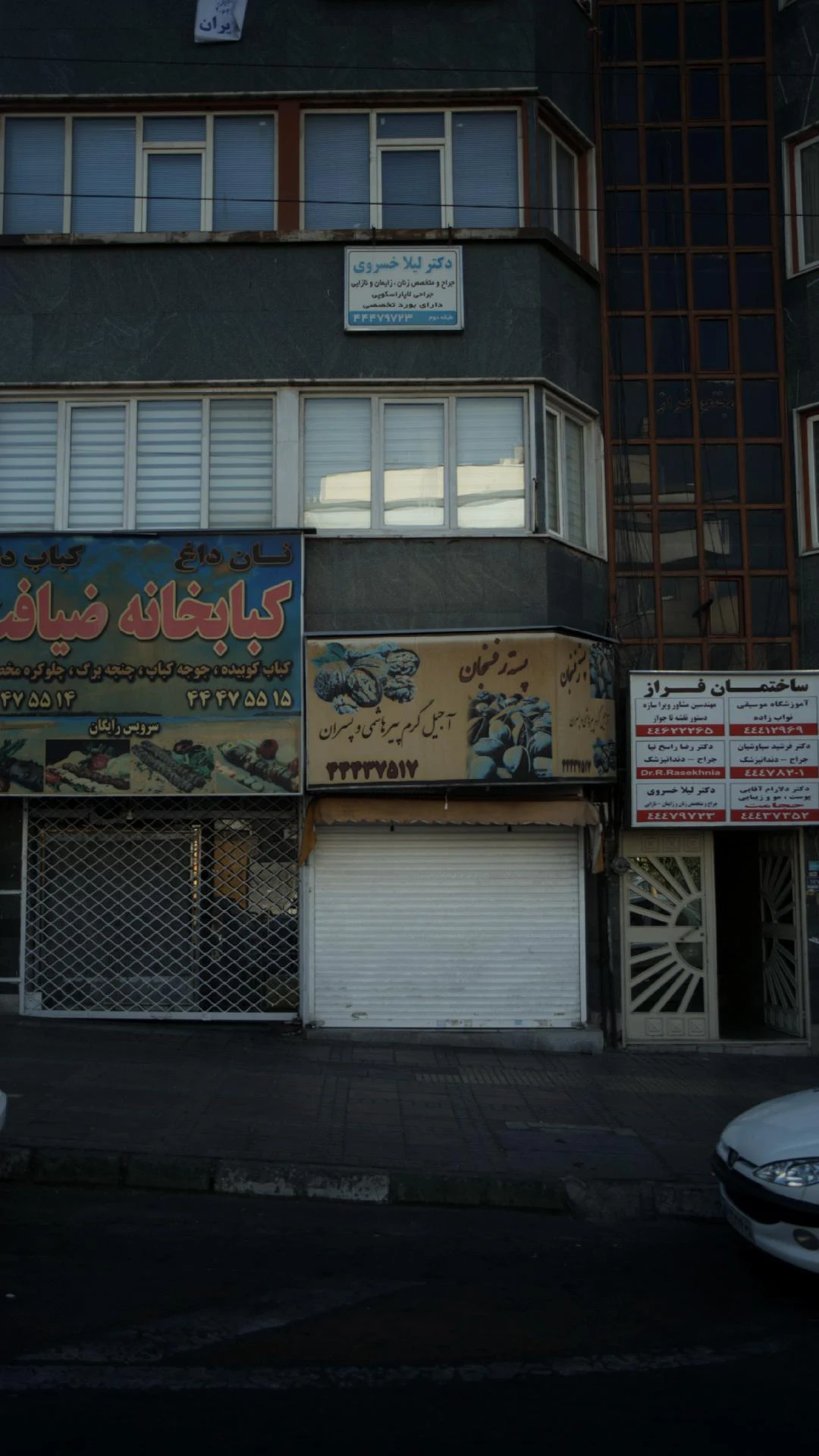 دکتر لیلا خسروی - تصویر 4
