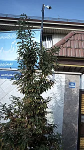 خانه سالمندان آفتاب