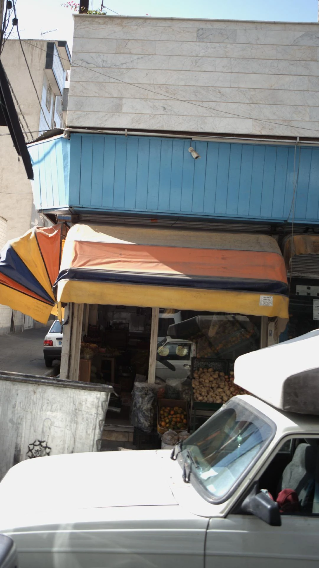 میوه سرای صدف - تصویر 2