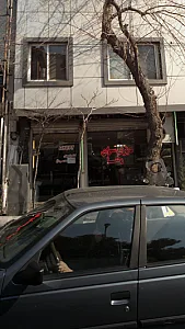 دیزی سرای رضا